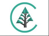 Cedar Architect : un logiciel d’architecture accessible à tous !