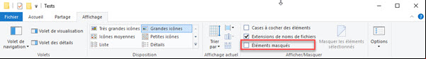 Cacher fichier