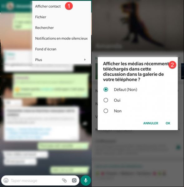 Cacher photos whatsapp android